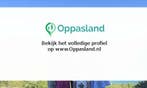 Ylona zoekt een oppas in Meppel voor 3 kinderen.