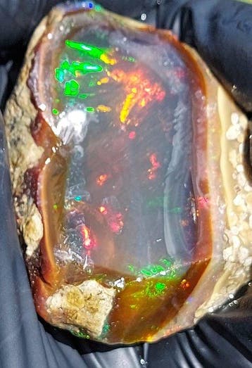 Semi-donker Ethiopisch Chrystal Opal 499,4 ct Ruw - Hoogte: