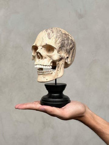 Snijwerk, Wooden Human Skull With a beautiful grain on a, Antiek en Kunst