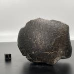 Georiënteerde eucriet van de Vesta-asteroïde!!!!!! NWA