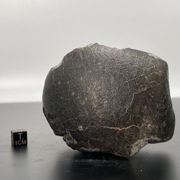 Georiënteerde eucriet van de Vesta-asteroïde!!!!!! NWA, Verzamelen, Mineralen en Fossielen