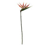 Strelitia paradijsvogelbloem oranje zijdenbloem 90 cm per, Ophalen of Verzenden, Nieuw