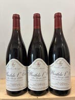 2005 Domaine Jérôme Gerbeault Les Champs Fulliots -, Verzamelen, Nieuw