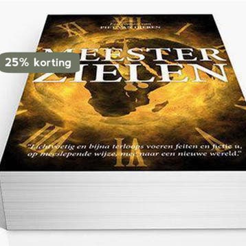 MeesterZielen - Piet van Dieren 9789081967709, Verzenden, Gelezen, Piet van Dieren