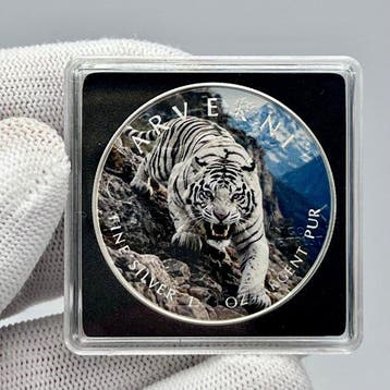 Verenigde Staten. 1 Dollar 2026 Frozen Fury – 1 oz Silver