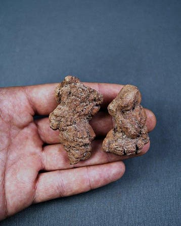 Verse poep - Gefossiliseerd dier - Coprolite (Zonder, Verzamelen, Mineralen en Fossielen
