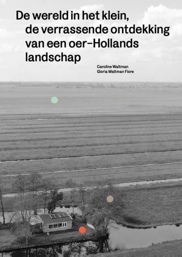 De Wereld In Het Klein | Nieuw, Boeken, Ophalen of Verzenden, Nieuw, Caroline Waltman; Gloria Waltman Flore