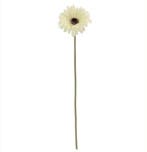 Gerbera 53 cm Creme Zijden bloemen / st, Ophalen of Verzenden, Nieuw