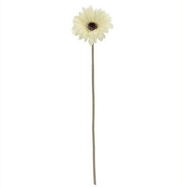Gerbera 53 cm Creme Zijden bloemen / st, Ophalen of Verzenden, Nieuw