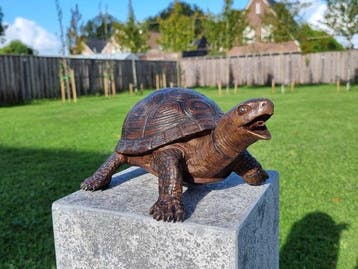 Fontein - Bronze Turtle - 2026