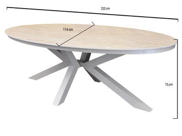 Talitha dining tuintafel 220x114xH75 cm ovaal latte, Tuin en Terras, Tuintafels, Ophalen of Verzenden, Nieuw