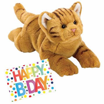 Pluche rode kat knuffel - 33 cm - met A5 verjaardagskaart, Verzenden, Nieuw