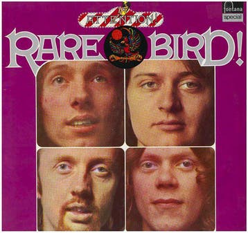 Rare Bird - Attention! Rare Bird!, Ophalen of Verzenden, Gebruikt