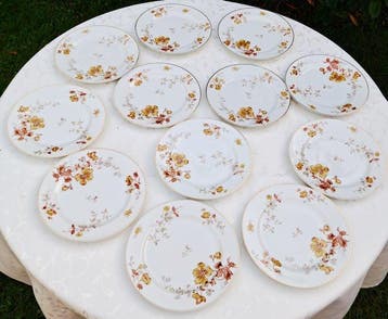 Limoges - Eetservies voor 12 (12) - Porselein, Goud
