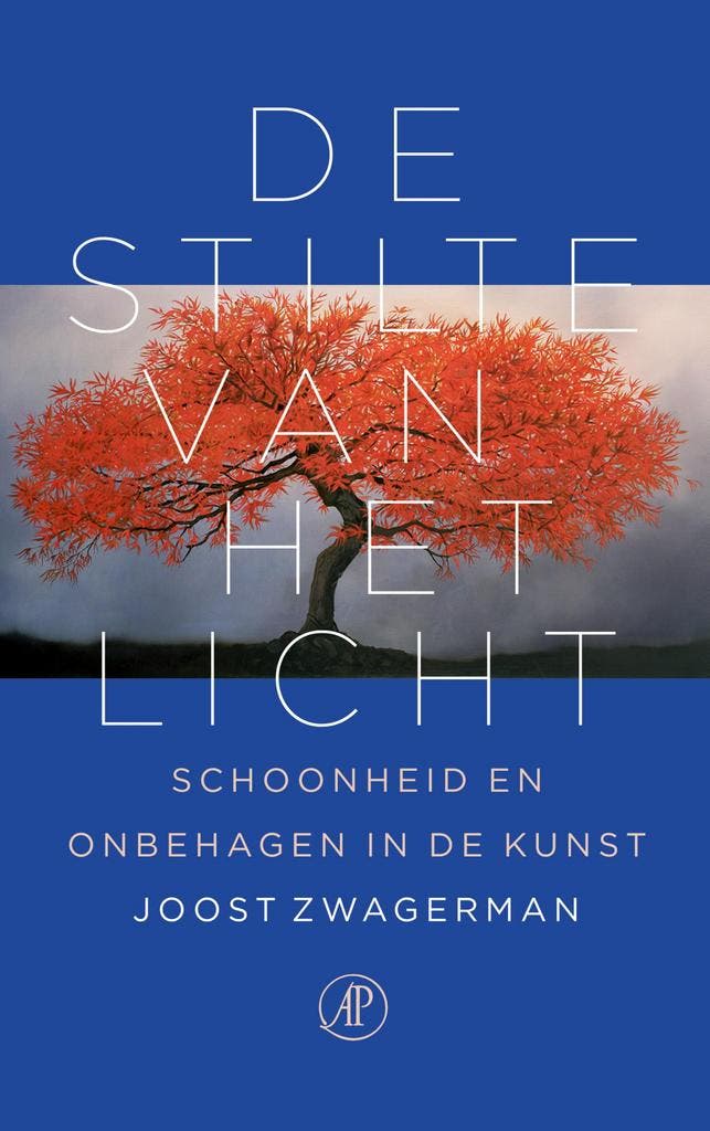 De stilte van het licht 9789029511629 Joost Zwagerman, Boeken, Literatuur, Gelezen, Verzenden