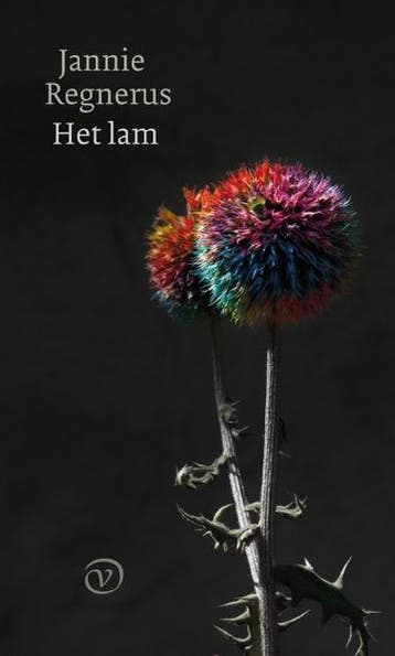 Het lam - Jannie Regnerus 9789028280946, Verzenden, Zo goed als nieuw, Jannie Regnerus