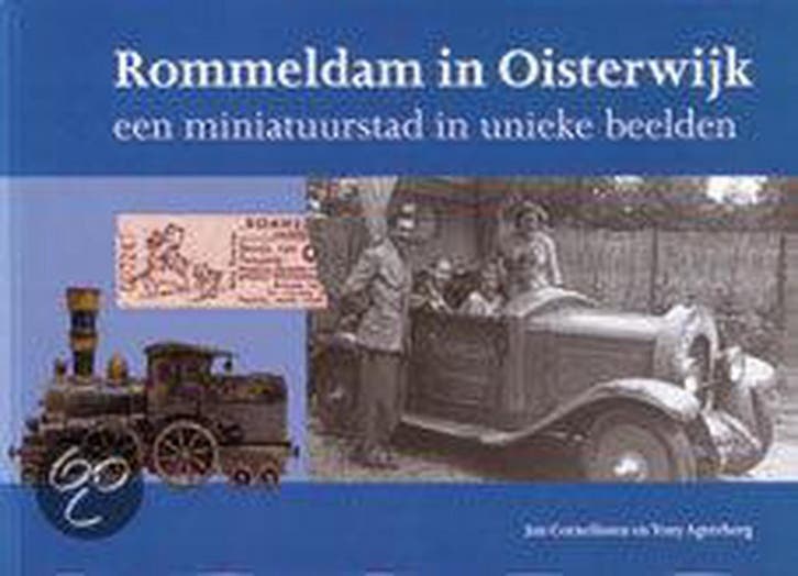 Rommeldam in Oisterwijk / In oude ansichten 9789028826304, Boeken, Hobby en Vrije tijd, Gelezen, Verzenden