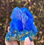 GEEN RESERVE! 252 g Koninklijk Blauw CHALCANTHITE Kristal op