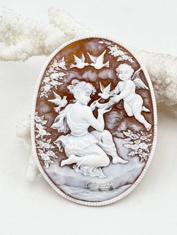 CASSIS MADAGASCARIENSIS - Cameo - Handgegraveerde camee