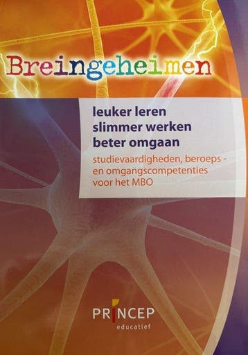 Breingeheimen Studievaardigheden voor het MBO - Schulte, Boeken, Studieboeken en Cursussen, Verzenden, Gelezen