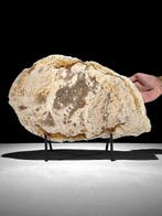 Prachtige plak versteend hout op een op maat gemaakte