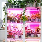 LED kweeklamp Kobi Growly 2x 8.5W 50cm, Ophalen of Verzenden, Nieuw