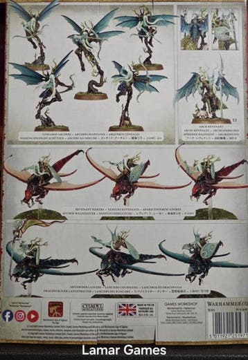 Spearhead Sylvaneth spitewing flght (Warhammer nieuw), Hobby en Vrije tijd, Wargaming, Ophalen of Verzenden, Nieuw