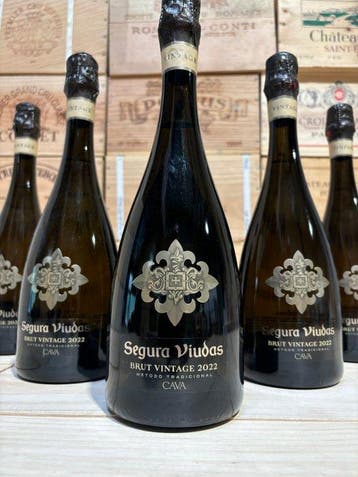 2022 Segura Viudas - Cava Vintage, Brut - 6 Flessen (0.75, Nieuw
