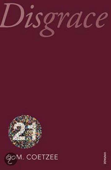 Disgrace - J. M. Coetzee 9780099563129, Boeken, Verzenden, Gelezen, J. M. Coetzee