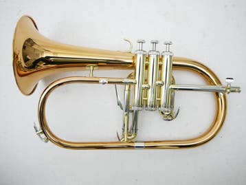 Bugel Elkhart Model 100FHR Goldbrass by Vincent Bach, Muziek en Instrumenten, Blaasinstrumenten | Trompetten, Ophalen of Verzenden