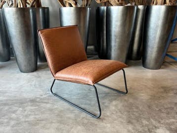 Veiling - Fauteuil Cas (2 stuks) Lounge - Stof - Cognac - Li, Nieuw