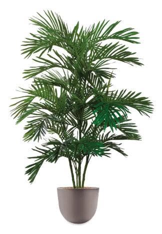 Areca Palm kunstplant, H175cm, Huis en Inrichting, Kamerplanten, Ophalen of Verzenden, Palm, 150 tot 200 cm
