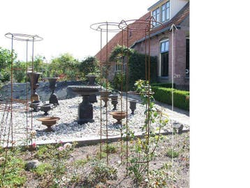 Rozen klimop rek, Overige soorten, 100 tot 250 cm