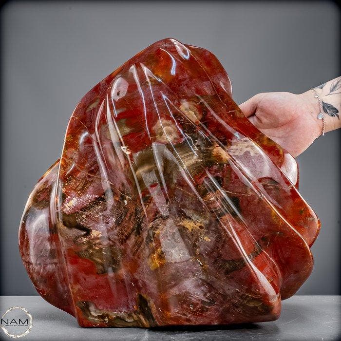 Indrukwekkende versteende houtvlam uit Madagaskar., Verzamelen, Mineralen en Fossielen