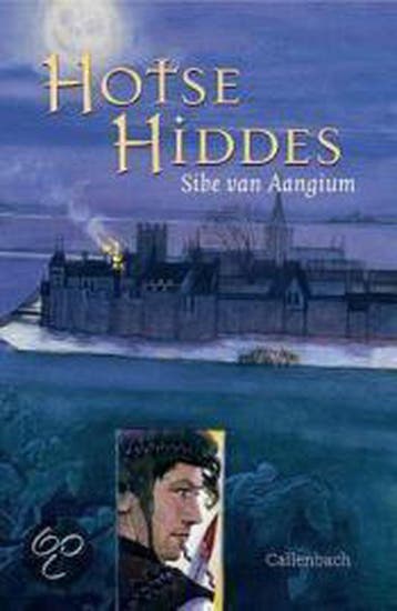 Hotse Hiddes - Sibe Van Aangium 9789026611162, Boeken, Verzenden, Gelezen, Sibe Van Aangium