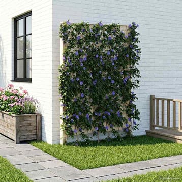 vidaXL Trellis met Spike PP Wit, Verzenden, Nieuw