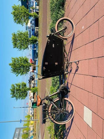 Vogue e-cargo elektrische bakfiets tweewieler carry 2 NIEUW!, Ophalen, Nieuw, Huif