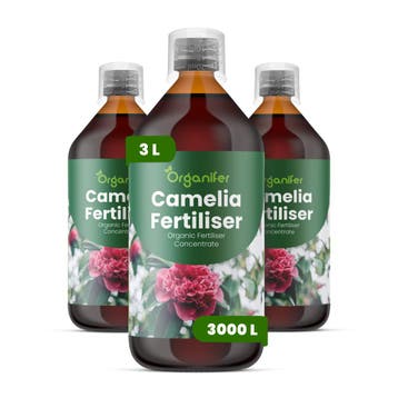 Camellia Vloeibare Meststof - 3x1 liter, Verzenden, Mest
