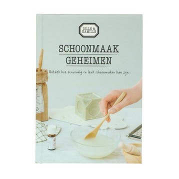 Schoonmaakgeheimen 9789083185064 Marieke Hoogendijk, Verzenden, Zo goed als nieuw, Marieke Hoogendijk