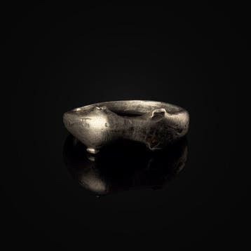 Oud-Romeins Ring Kissing Dolphins