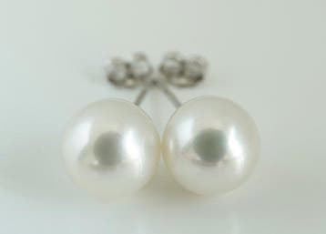 Oorbellen - 18 karaat Witgoud Parel - Akoya, rond, 9-9,5 mm, Nieuw