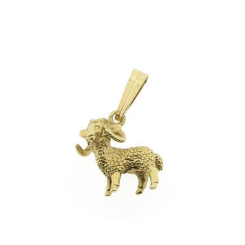 Gouden sterrenbeeld hanger; Steenbok (Hanger of bedel), Ophalen of Verzenden, Gebruikt, Goud, Overige merken