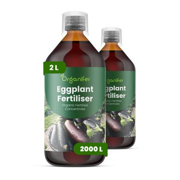 Aubergine Vloeibare Meststof - 2x1 liter, Verzenden, Mest