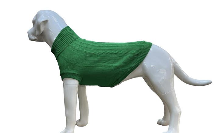 Hondentrui  Groen Voor grote honden (Truien, Hondenkleding), Dieren en Toebehoren, Hondenkleding, Hondenvest, Nieuw, Ophalen of Verzenden