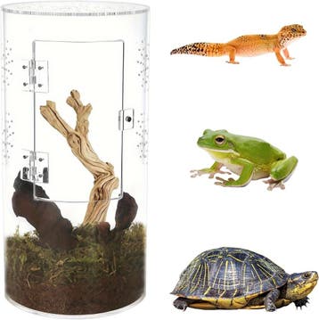 Spinnen Terrarium Cilindrisch | Tweedekansje | OP=OP, Dieren en Toebehoren, Reptielen en Amfibieën | Toebehoren, Ophalen of Verzenden