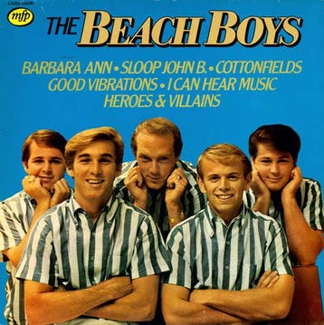 The Beach Boys – The Beach Boys (LP, 1981), Ophalen of Verzenden, Gebruikt