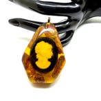 Oude cameo-hanger van Baltisch barnsteen - Barnsteen -
