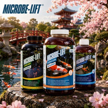 MicrobeLift Vijverbacteriën - Kraakhelder water garantie !, Ophalen of Verzenden, Nieuw