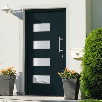 vidaXL Voordeur 110x210 cm aluminium en PVC antraciet, Verzenden, Nieuw