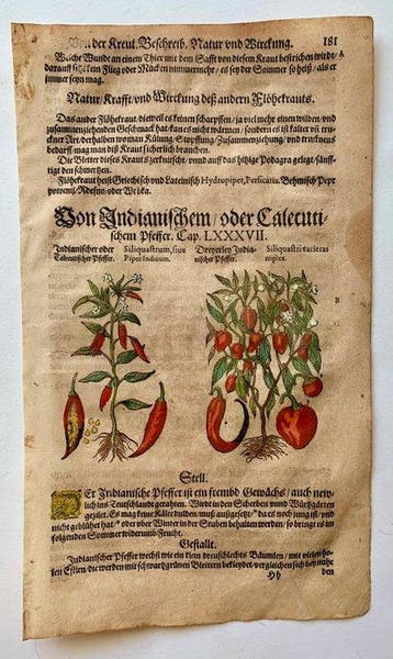 Pietro Andrea Mattioli - Kreutterbuch - 1611